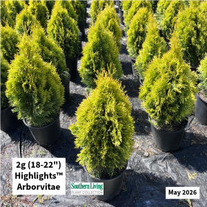 May 2026 2g Highlights Arborvitae Website